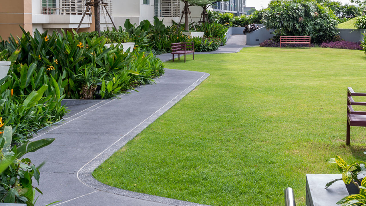 Gepflegte Grünanlage mit Weg – Garten- und Objektpflege